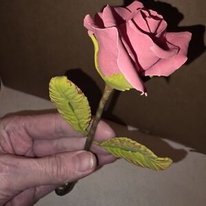 Pink and Green Decorative Rose